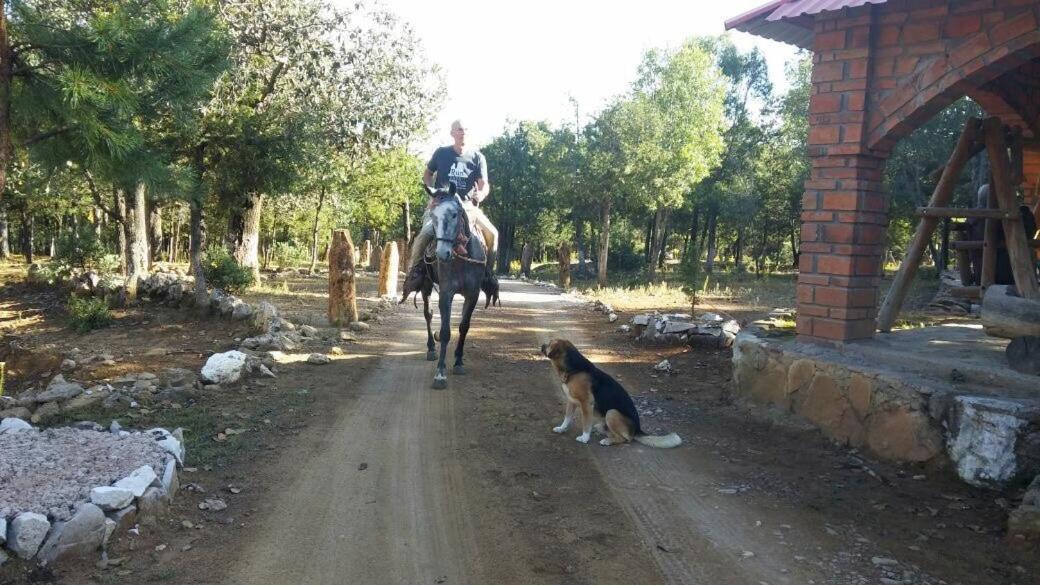 Rancho Cabanas San Isidro Cerocahuí Екстериор снимка