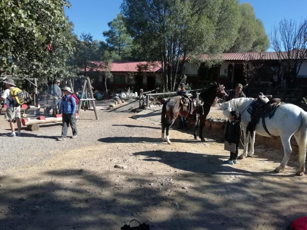 Rancho Cabanas San Isidro Cerocahuí Екстериор снимка